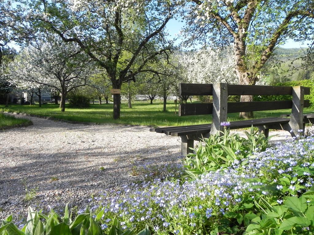 Gasthof Gruener Baum Kirchberg am Wechsel Eksteriør bilde