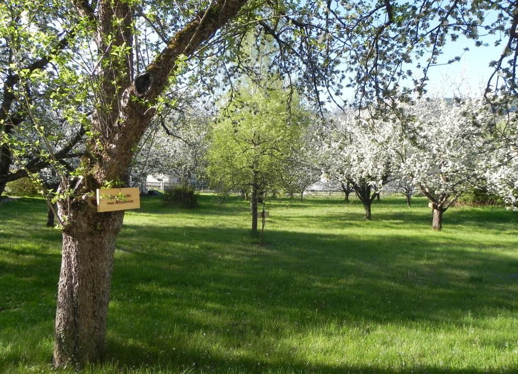 Gasthof Gruener Baum Kirchberg am Wechsel Eksteriør bilde
