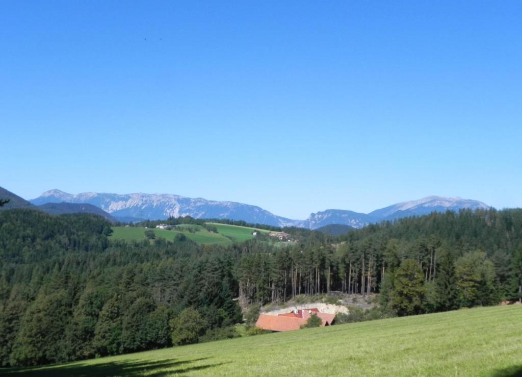 Gasthof Gruener Baum Kirchberg am Wechsel Eksteriør bilde