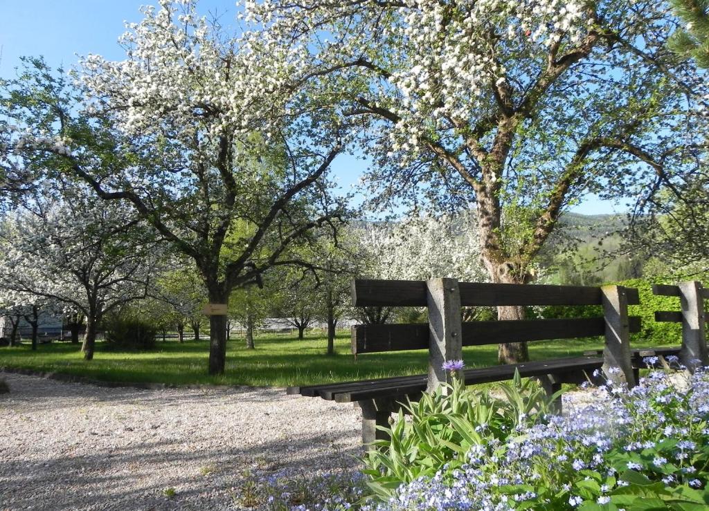 Gasthof Gruener Baum Kirchberg am Wechsel Eksteriør bilde
